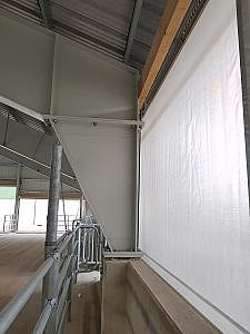 Byci Jalovice 3