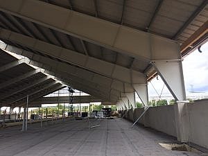 IMG 5973