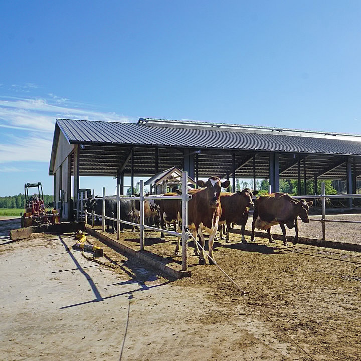 Landwirtschaflichehallen